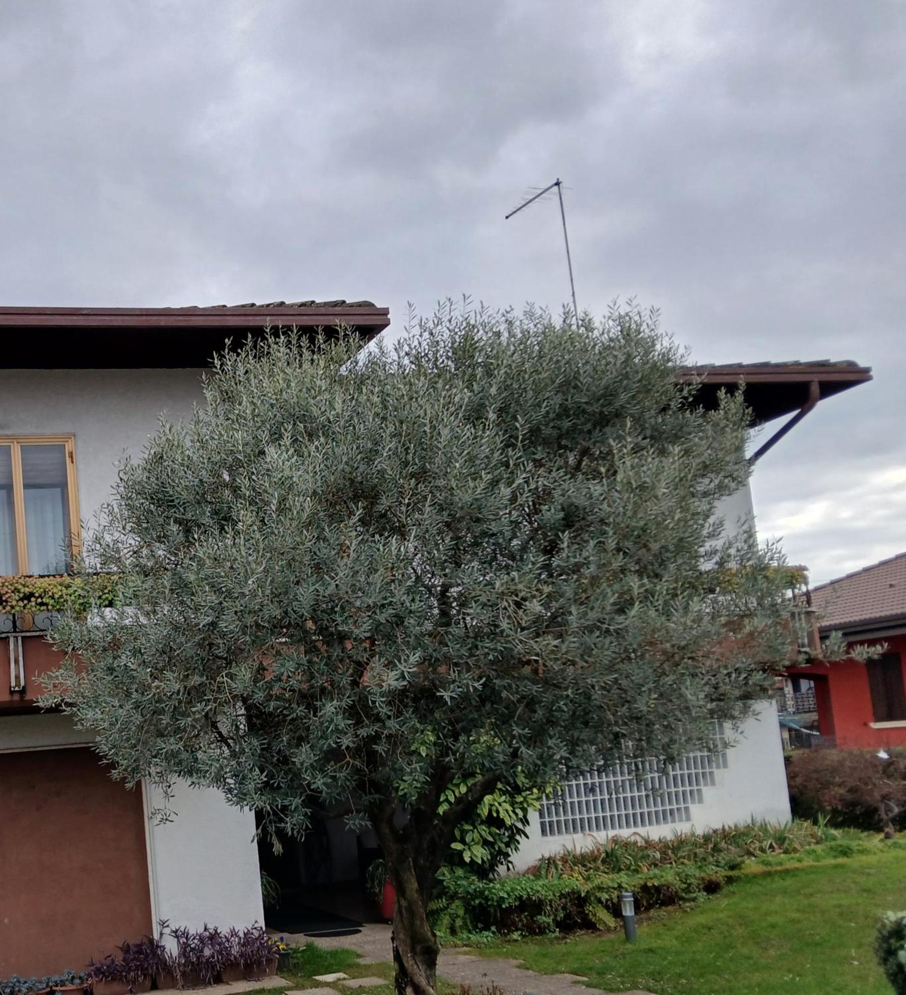 B&B Ponte Marchese Caldogno Ngoại thất bức ảnh